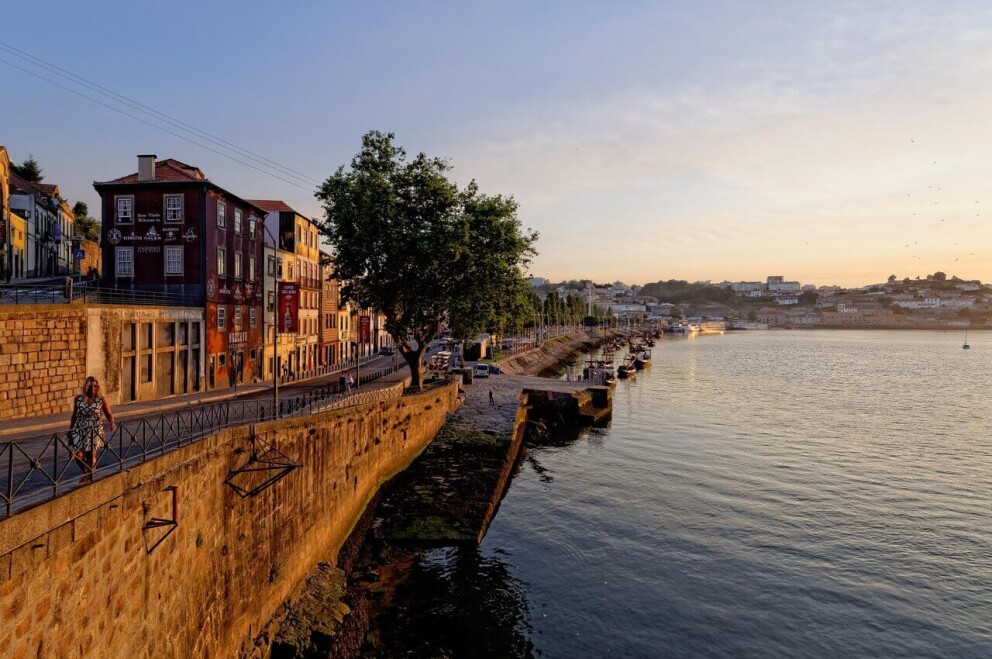 Which Is The Best Douro River Cruise?